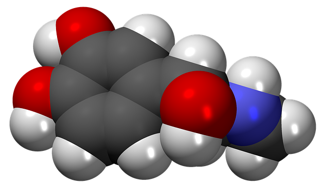 adrenaline hormone